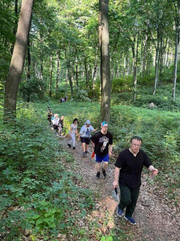 Erdőjárás